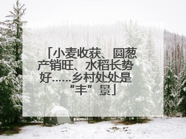 小麦收获、圆葱产销旺、水稻长势好……乡村处处是“丰”景