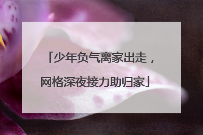 少年负气离家出走，网格深夜接力助归家