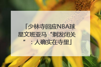 少林寺回应NBA球星文班亚马“剃发闭关”：人确实在寺里