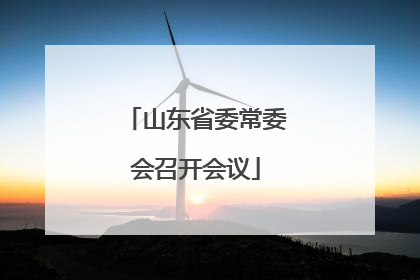 山东省委常委会召开会议
