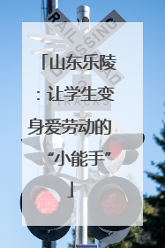 山东乐陵：让学生变身爱劳动的“小能手”