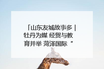山东友城故事多｜牡丹为媒 经贸与教育并举 菏泽国际“朋友圈”扩容升级