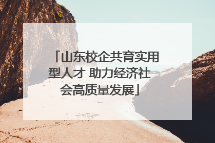 山东校企共育实用型人才 助力经济社会高质量发展