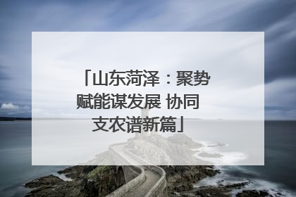山东菏泽：聚势赋能谋发展 协同支农谱新篇
