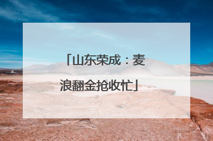 山东荣成：麦浪翻金抢收忙