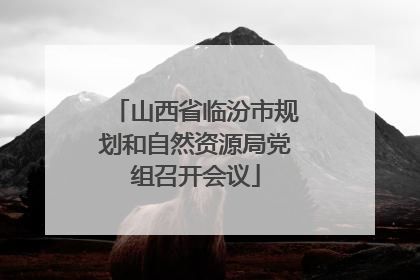 山西省临汾市规划和自然资源局党组召开会议
