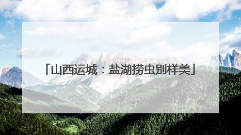 山西运城：盐湖捞虫别样美