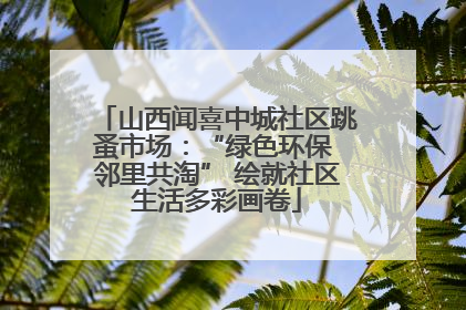 山西闻喜中城社区跳蚤市场：“绿色环保 邻里共淘” 绘就社区生活多彩画卷