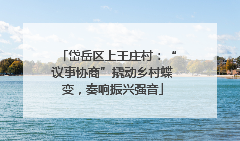 岱岳区上王庄村：“议事协商”撬动乡村蝶变，奏响振兴强音