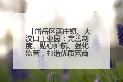 岱岳区满庄镇、大汶口工业园：完善制度、贴心护航、强化监管，打造优质营商“强磁场”