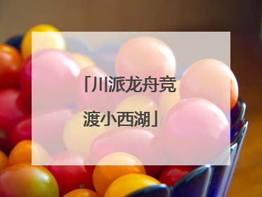 川派龙舟竞渡小西湖