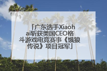 广东选手Xiaohai斩获美国CEO格斗游戏电竞赛事《饿狼传说》项目冠军