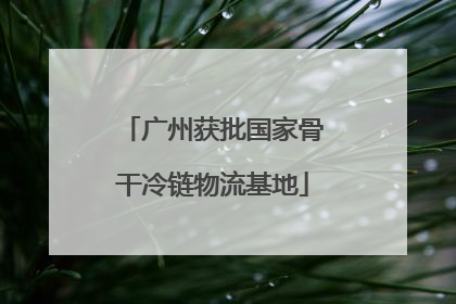 广州获批国家骨干冷链物流基地