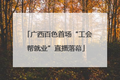 广西百色首场“工会帮就业”直播落幕
