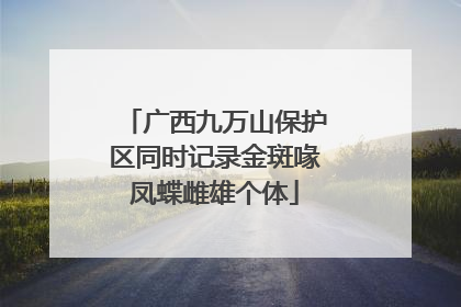 广西九万山保护区同时记录金斑喙凤蝶雌雄个体