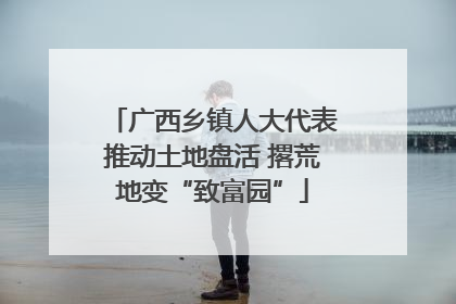 广西乡镇人大代表推动土地盘活 撂荒地变“致富园”