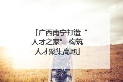 广西南宁打造“人才之家” 构筑人才聚集高地