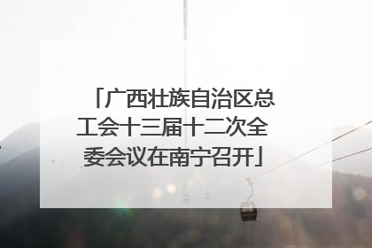 广西壮族自治区总工会十三届十二次全委会议在南宁召开