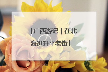 广西游记｜在北海逛升平老街