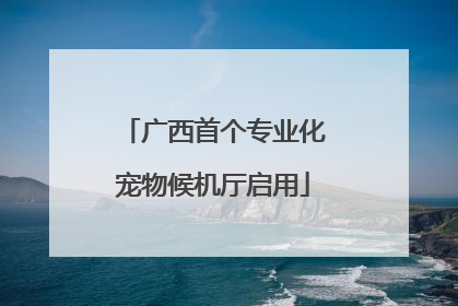 广西首个专业化宠物候机厅启用