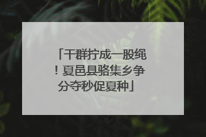 干群拧成一股绳！夏邑县骆集乡争分夺秒促夏种
