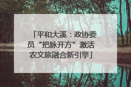 平和大溪：政协委员“把脉开方”激活农文旅融合新引擎