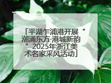 平湖乍浦港开展“潮涌东方·港城新韵”2025年浙江美术名家采风活动