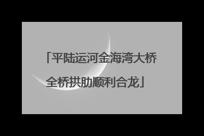 平陆运河金海湾大桥全桥拱肋顺利合龙