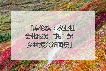 库伦旗：农业社会化服务“托”起乡村振兴新图景