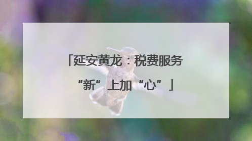延安黄龙：税费服务“新”上加“心”