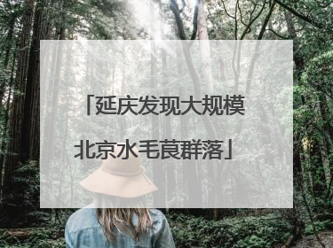 延庆发现大规模北京水毛茛群落