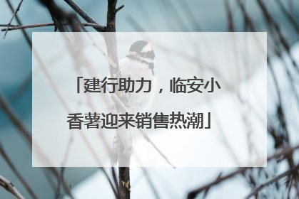 建行助力，临安小香薯迎来销售热潮
