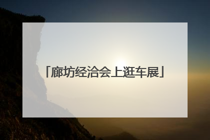 廊坊经洽会上逛车展