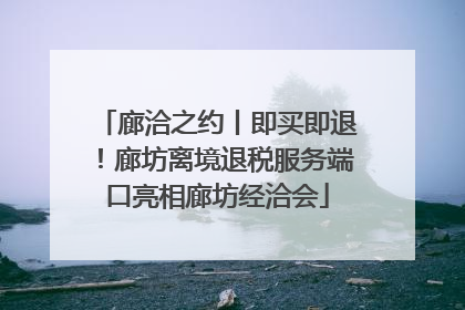 廊洽之约丨即买即退！廊坊离境退税服务端口亮相廊坊经洽会