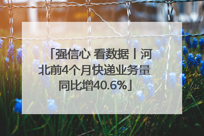 强信心 看数据丨河北前4个月快递业务量同比增40.6%