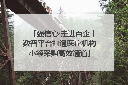 强信心·走进百企丨数智平台打通医疗机构小额采购高效通道