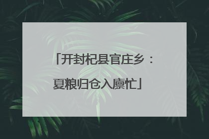 开封杞县官庄乡：夏粮归仓入廪忙