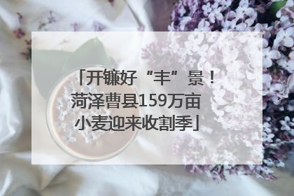 开镰好“丰”景！菏泽曹县159万亩小麦迎来收割季