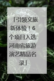 引领文旅新体验！6个项目入选河南省旅游演艺精品名录