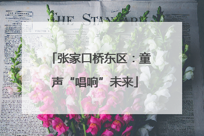 张家口桥东区：童声“唱响”未来