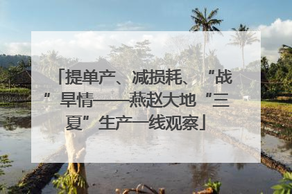 提单产、减损耗、“战”旱情——燕赵大地“三夏”生产一线观察