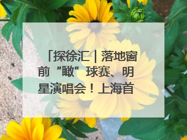 探徐汇｜落地窗前“瞰”球赛、明星演唱会！上海首家体育特色高端酒店亮相