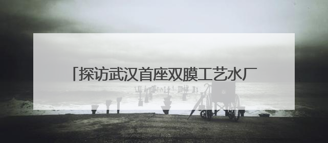 探访武汉首座双膜工艺水厂，筛网孔径比头发丝还细