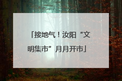 接地气！汝阳“文明集市”月月开市