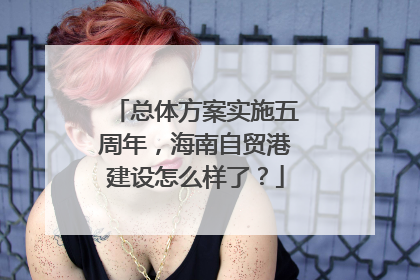 总体方案实施五周年，海南自贸港建设怎么样了？
