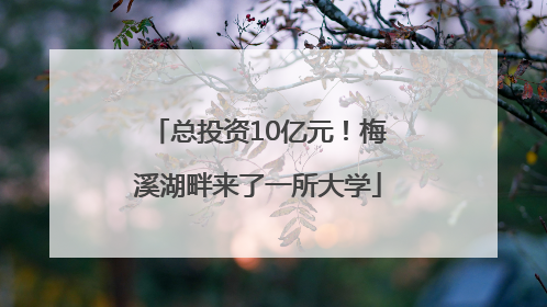总投资10亿元！梅溪湖畔来了一所大学
