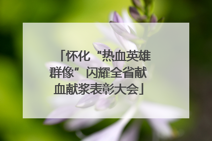 怀化“热血英雄群像”闪耀全省献血献浆表彰大会