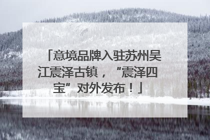 意境品牌入驻苏州吴江震泽古镇，“震泽四宝”对外发布！