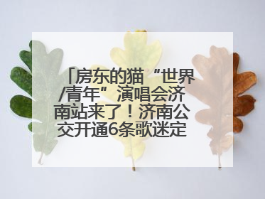 房东的猫“世界/青年”演唱会济南站来了！济南公交开通6条歌迷定制专线