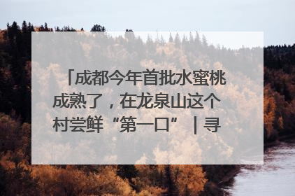 成都今年首批水蜜桃成熟了，在龙泉山这个村尝鲜“第一口”｜寻找和美乡村推荐官